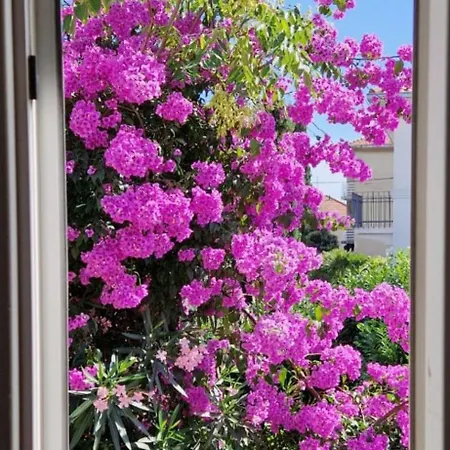 Beautiful Bacvice * スプリト